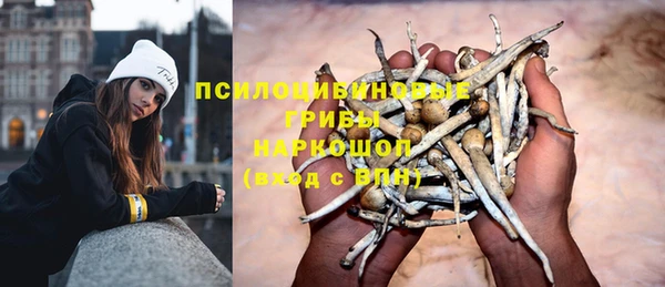 мескалин Лагань
