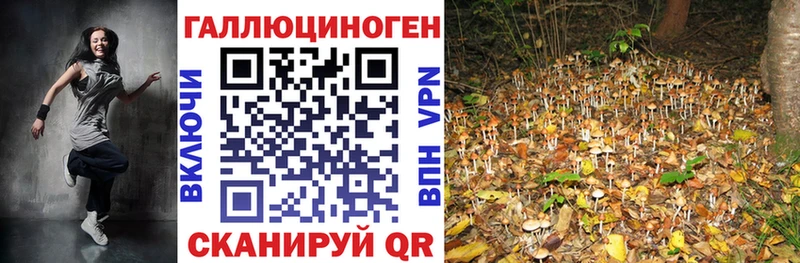 как найти закладки  hydra сайт  Галлюциногенные грибы MAGIC MUSHROOMS  Стерлитамак 