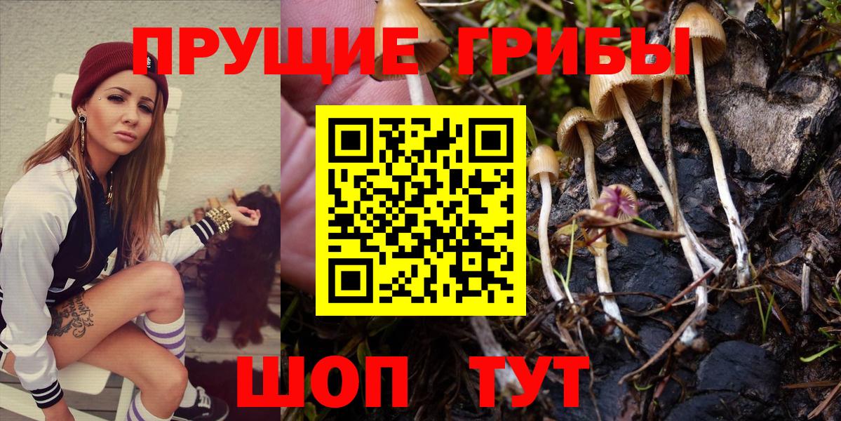 Псилоцибиновые грибы Magic Shrooms  Стерлитамак 