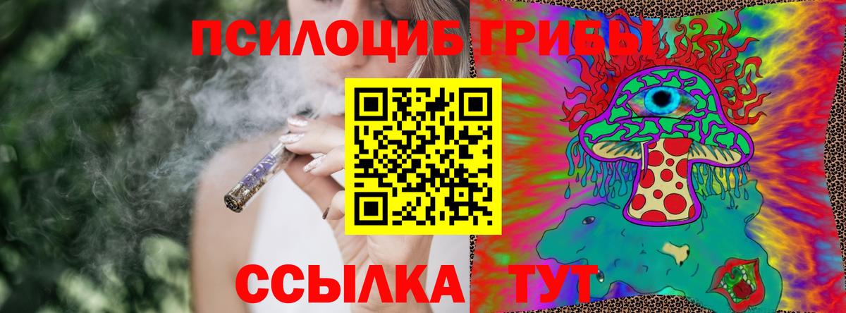 Псилоцибиновые грибы GOLDEN TEACHER Стерлитамак