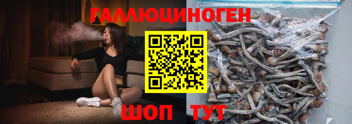 Псилоцибиновые грибы Psilocybe Стерлитамак